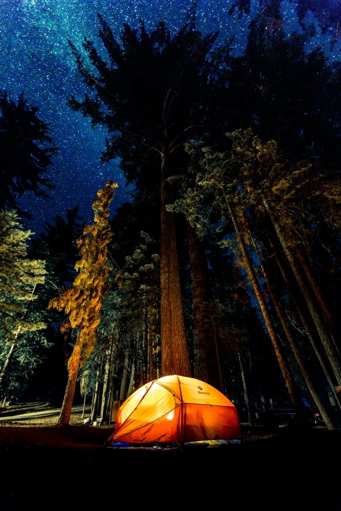 A glowing orange tent under a starry night sky in a dense forest, evoking the cozy atmosphere of a well-equipped backyard patio.